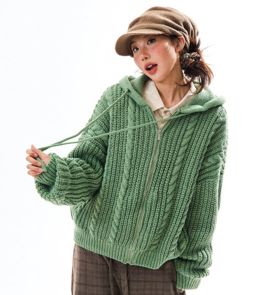 Chunky Knit Zipper Hooded Oversize Cardigan NA9356