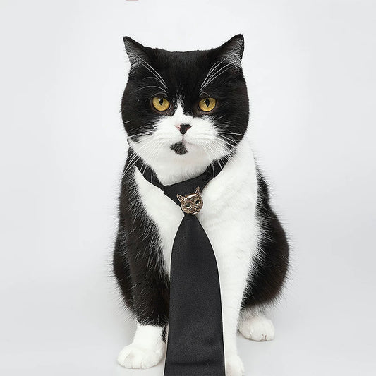 With Cat Pin Standalone Neck Tie NA8396