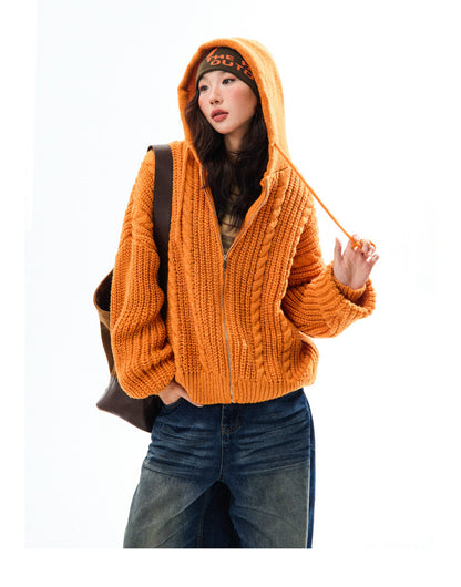 Chunky Knit Zipper Hooded Oversize Cardigan NA9356