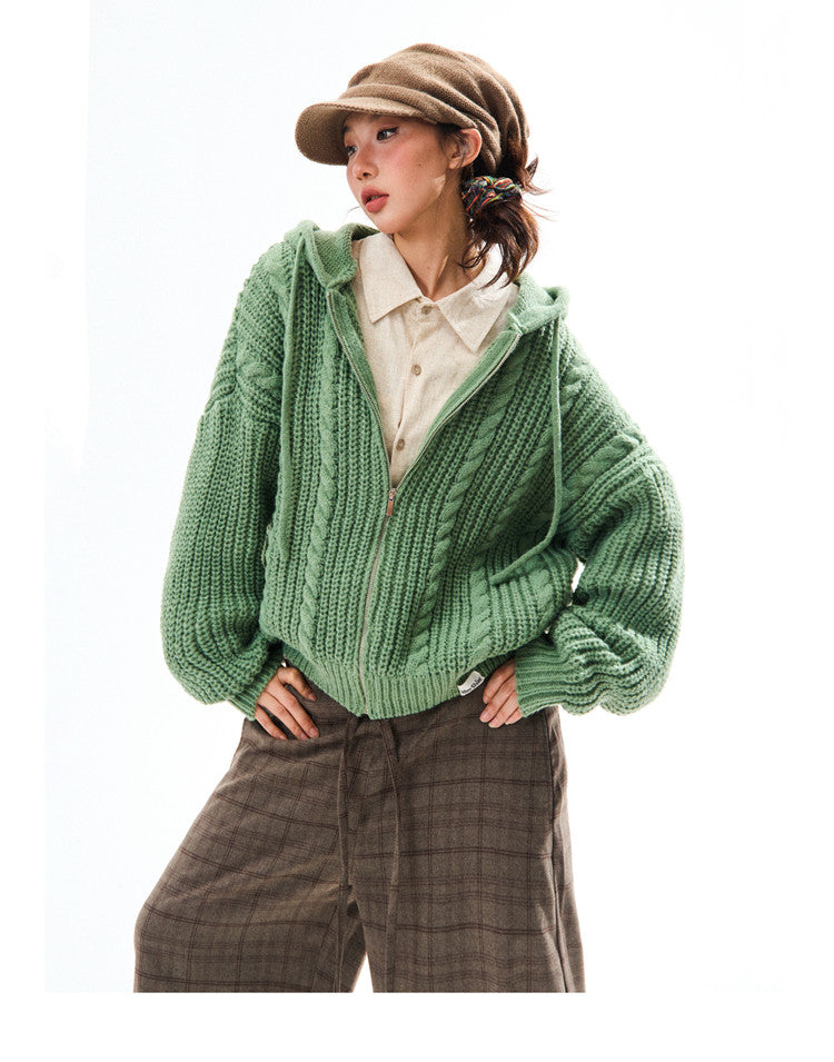 Chunky Knit Zipper Hooded Oversize Cardigan NA9356